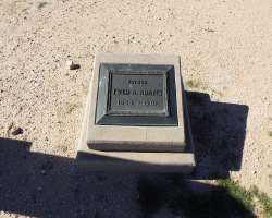 There are 54 identified graves in the cemetery. The most prominent burial of the cemetery was of Fred A. Adams who founded the Adamsville town.